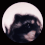 Guest_MexiManMx