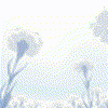 NAMELESS504109