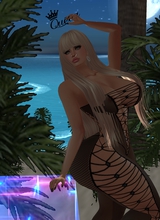 immagine avatar