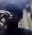 Guest_2xdotii
