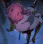 Hearts4Him