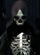 Guest_Qnryo