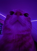 xQsMe