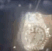 Guest_BUBBA767310
