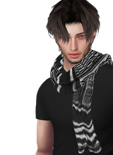 ervim