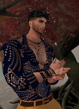 Guest_VENGADOR