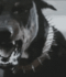 Guest_jayfrmdagrave1