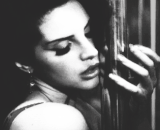 Guest_rielliacae