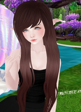 Guest_Anixel
