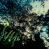 Guest_JAYf626