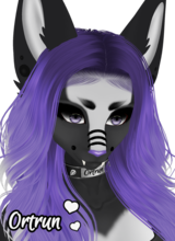 Avatar Bild