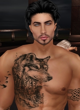TommyBloodWolf