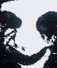 Guest_Hugo126015
