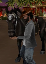 Guest_JuliaoPetruchio