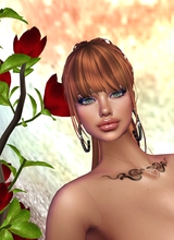 LadyValk