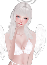 Guest_KarimL