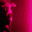 Guest_Neissha