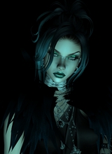 Guest_scarletbutterflies09