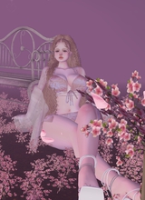 Guest_Mn22x