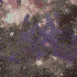 Guest_BloodyFangz