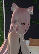 Guest_TheNastyKitten
