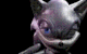 Guest_diddy179455