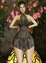 Guest_SamZata