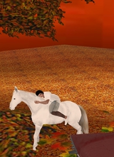صورة الـavatar