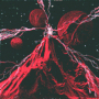 virgoterbium5cea