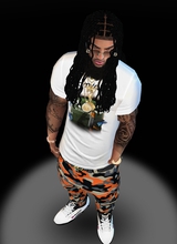 Guest_MAVINCI