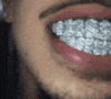 Guest_Alec664088