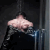Guest_Sam542