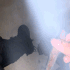 Guest_SAMUU23
