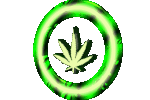 Guest_GMAN226667