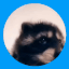 Guest_BrownRice