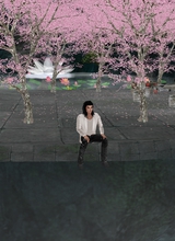 Guest_Ainetandared