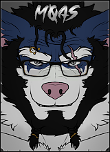 Avatar Bild
