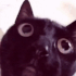Catmomm03
