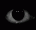 Guest_Poor10