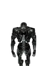x800