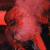 stfudab1