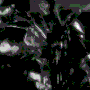 Guest_StickLilOne