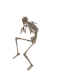 Guest_CauM4