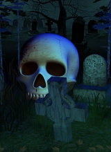 Guest_Suesse