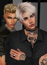 Guest_Ayden699396