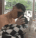 Guest_williamja1