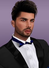 Guest_david604100