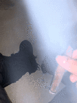 Guest_Jacob447923