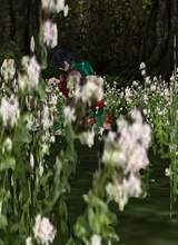 Guest_SeijiKoji