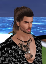 Guest_XxaALordWarriorxX